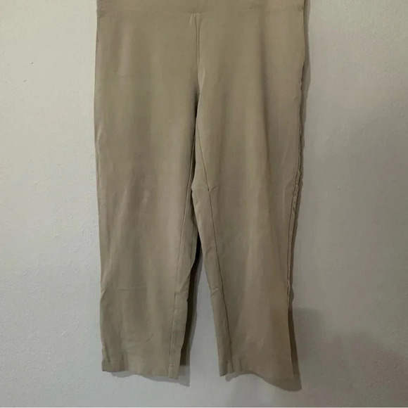 Pure Jill J.Jill Slim-Leg Cropped Womens Smooth Front Pants Tan Size XS GUC - Picture 7 of 7
